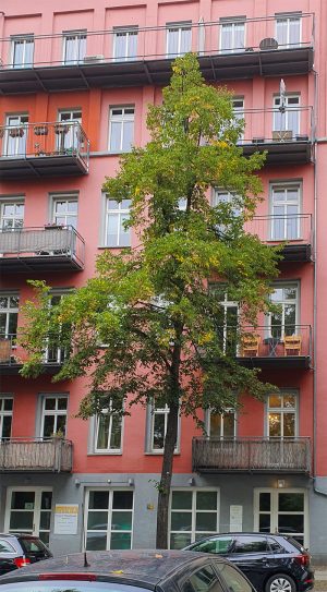 Haus Wolliner Straße10